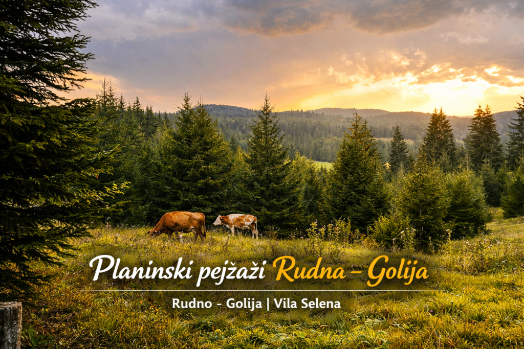 ovde krave pasu lekovito bilje